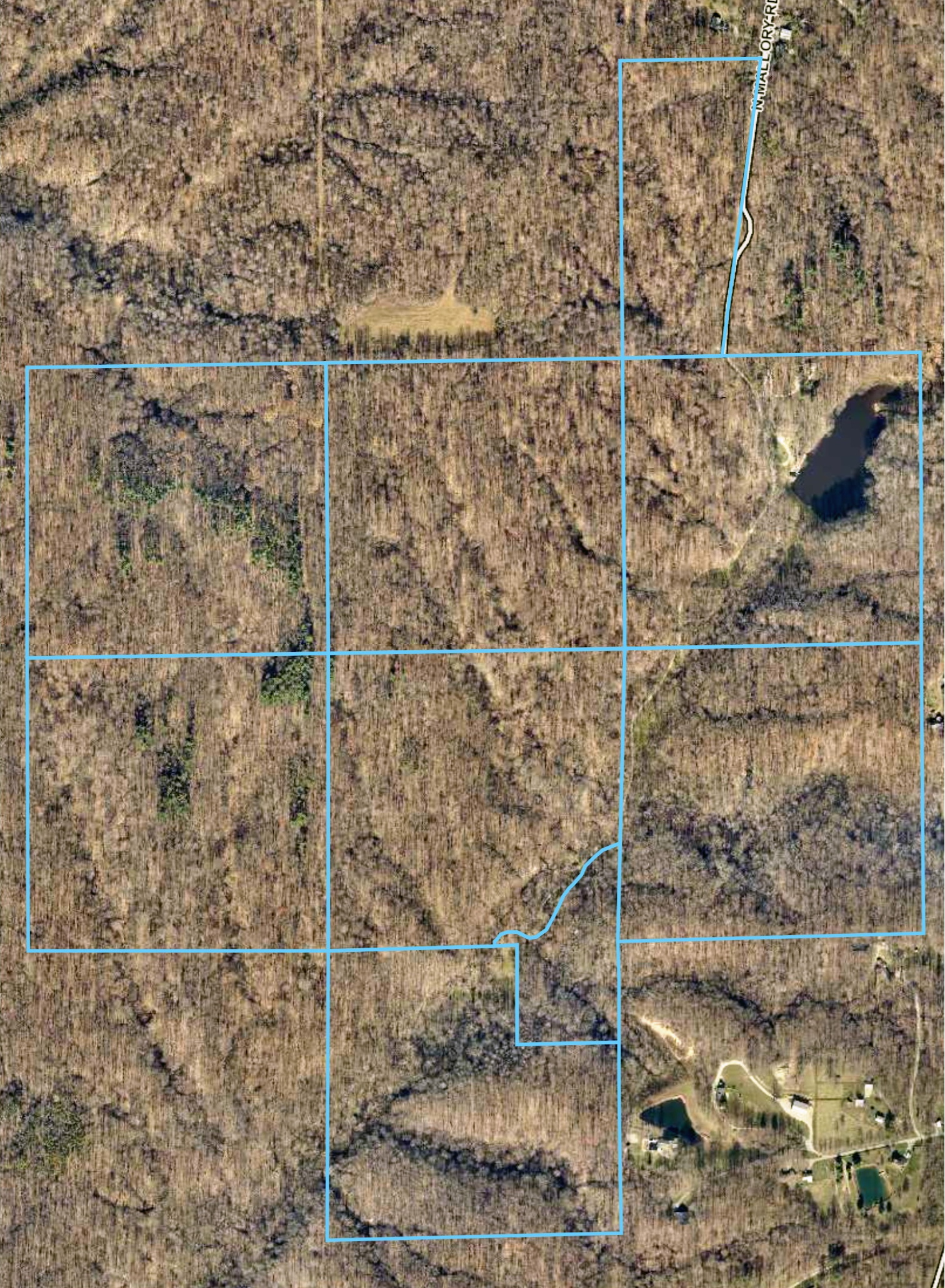 Satellite image of the Club